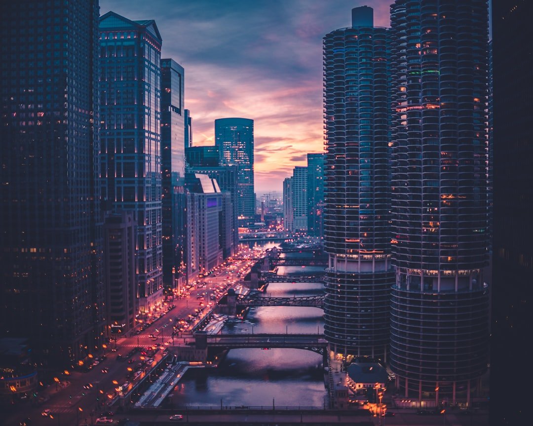 Photo Image: Coach, Chicago skyline